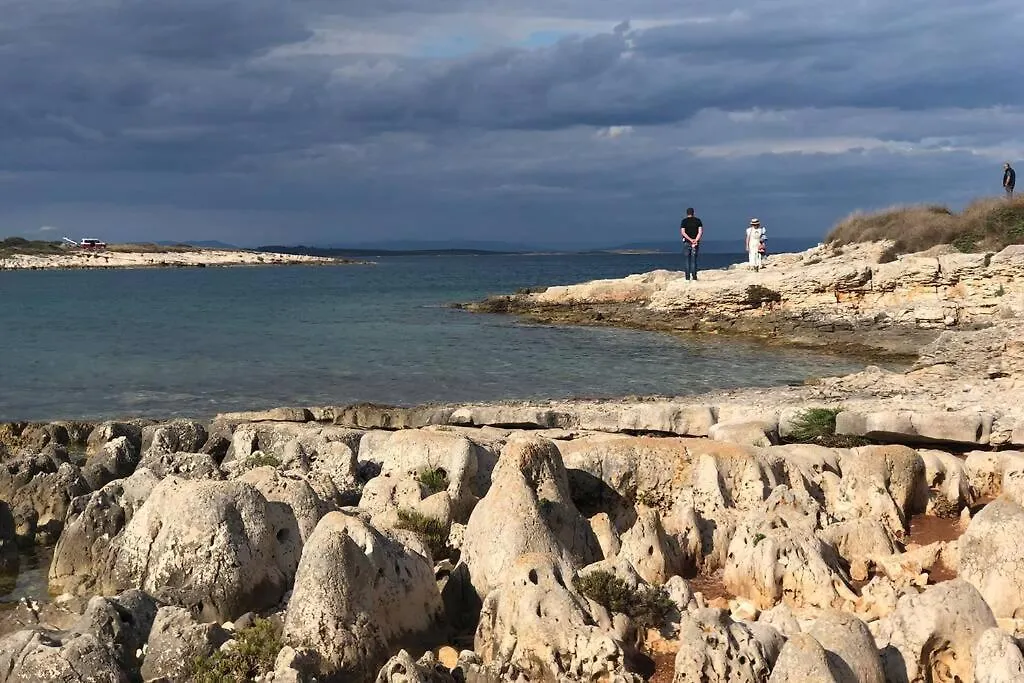 Villa Stanzietta Novigrad For 10 At Olive Orchard Croatia