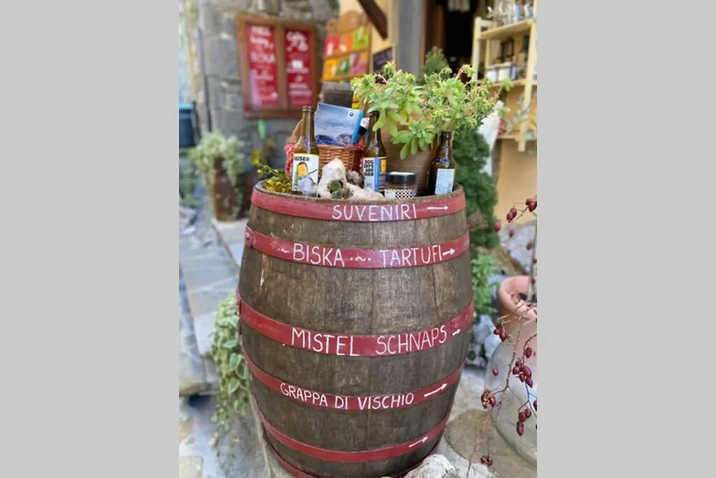 Villa Stanzietta Novigrad For 10 At Olive Orchard