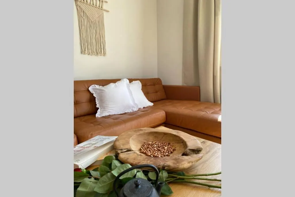Villa Stanzietta Novigrad For 10 At Olive Orchard Croatia