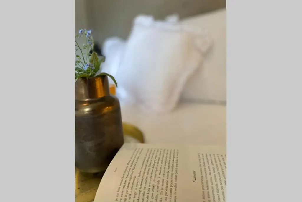 Villa Stanzietta Novigrad For 10 At Olive Orchard