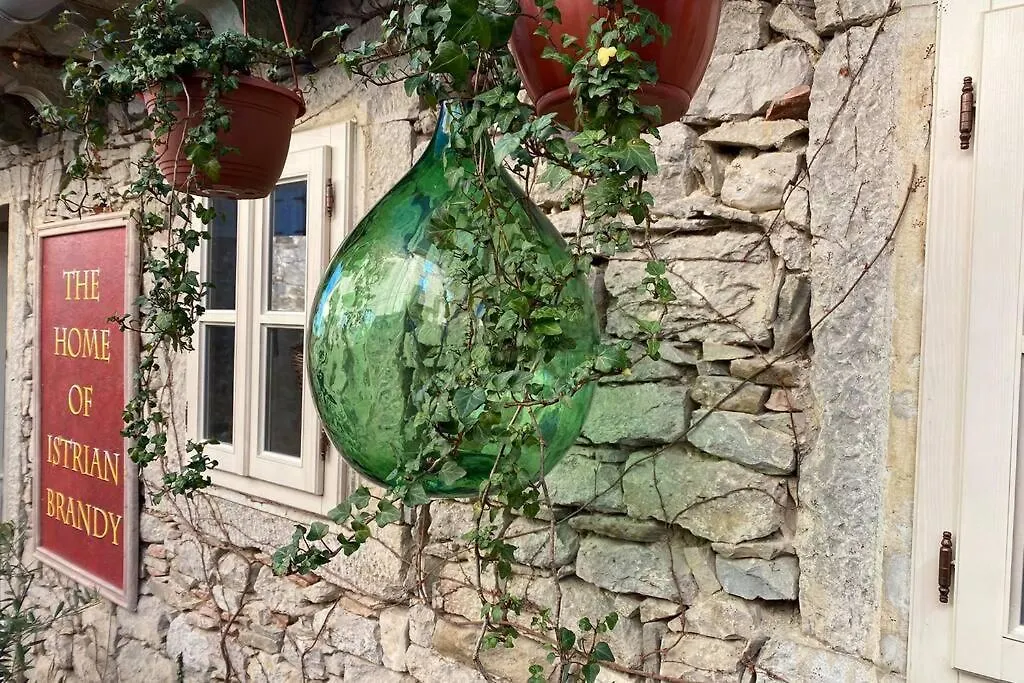 Villa Stanzietta Novigrad For 10 At Olive Orchard