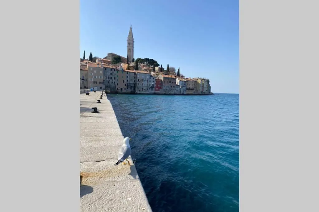 Villa Stanzietta Novigrad For 10 At Olive Orchard Croatia