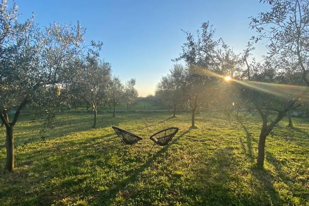 Villa Stanzietta Novigrad For 10 At Olive Orchard 0*, Novigrad (Istria) Croatia