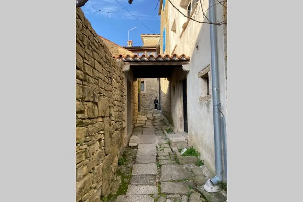 Villa Stanzietta Novigrad For 10 At Olive Orchard Croatia