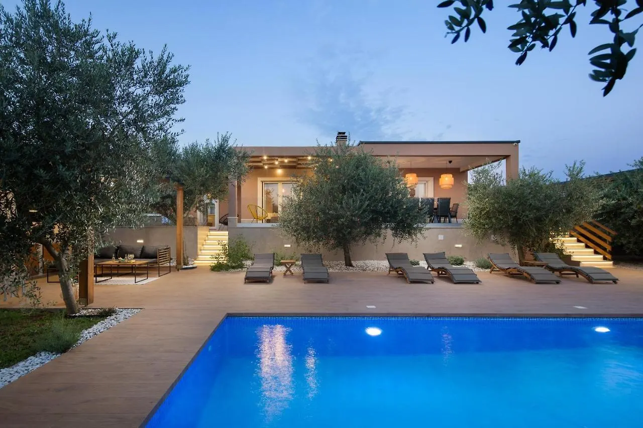 Villa Stanzietta Novigrad For 10 At Olive Orchard