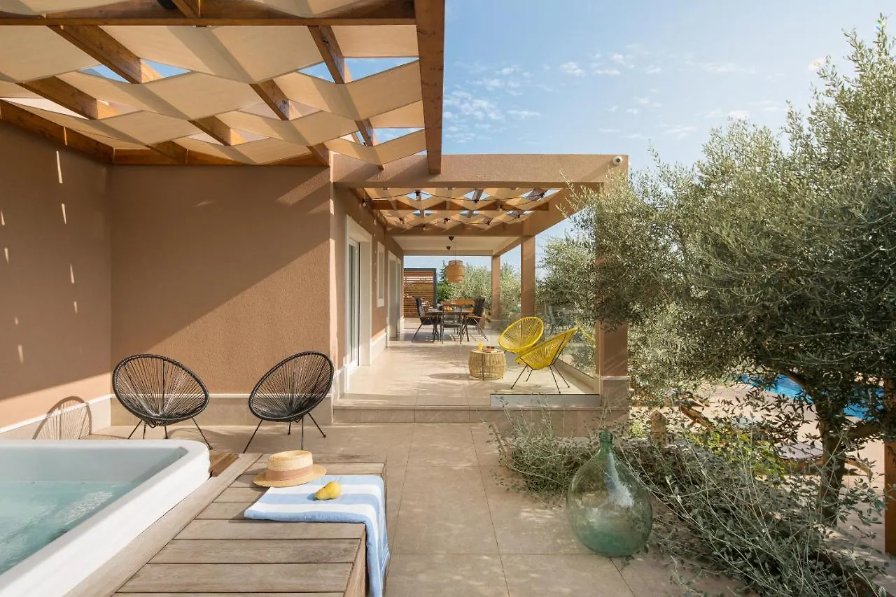 Villa Stanzietta Novigrad For 10 At Olive Orchard Croatia