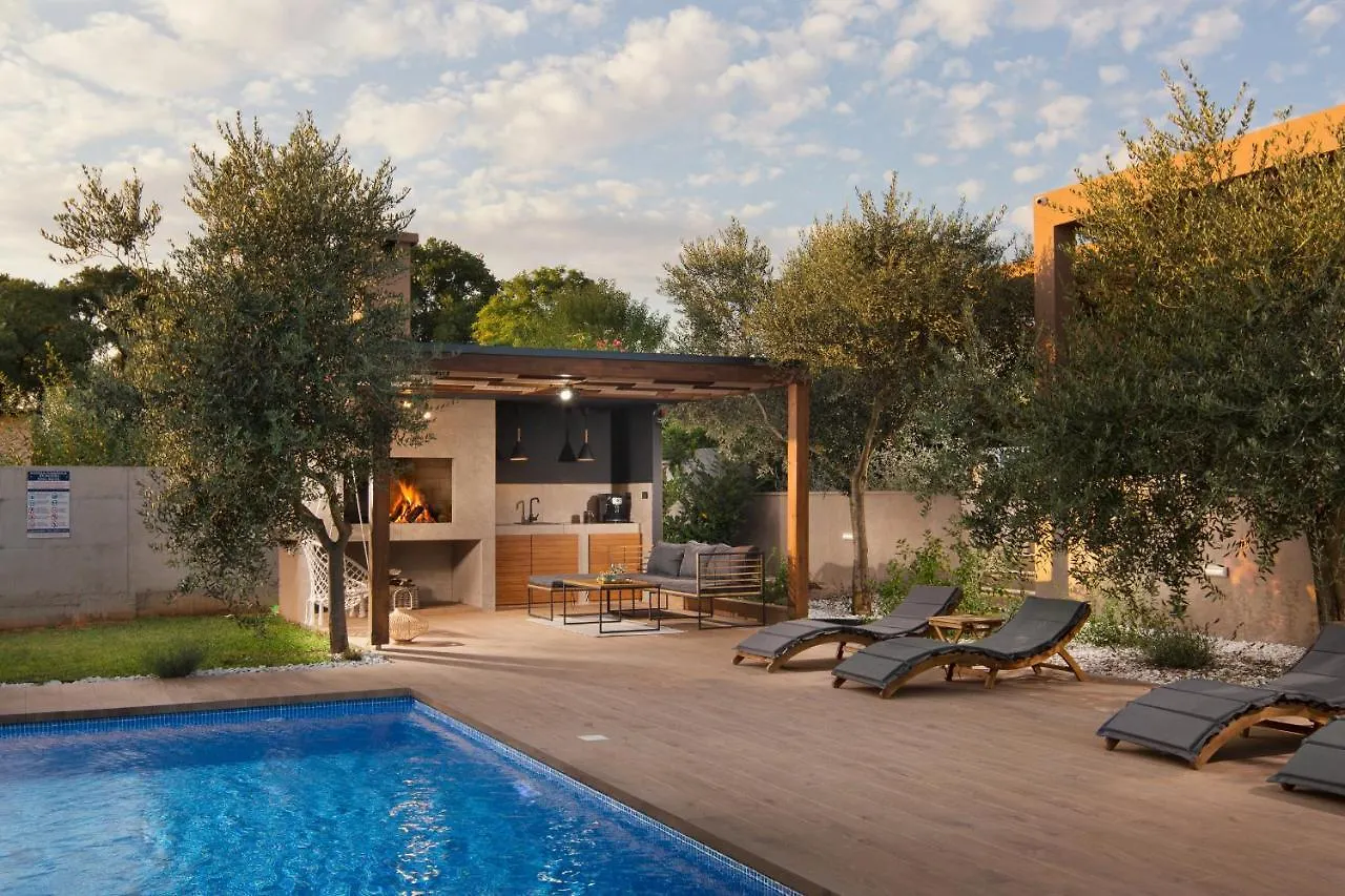 Villa Stanzietta Novigrad For 10 At Olive Orchard