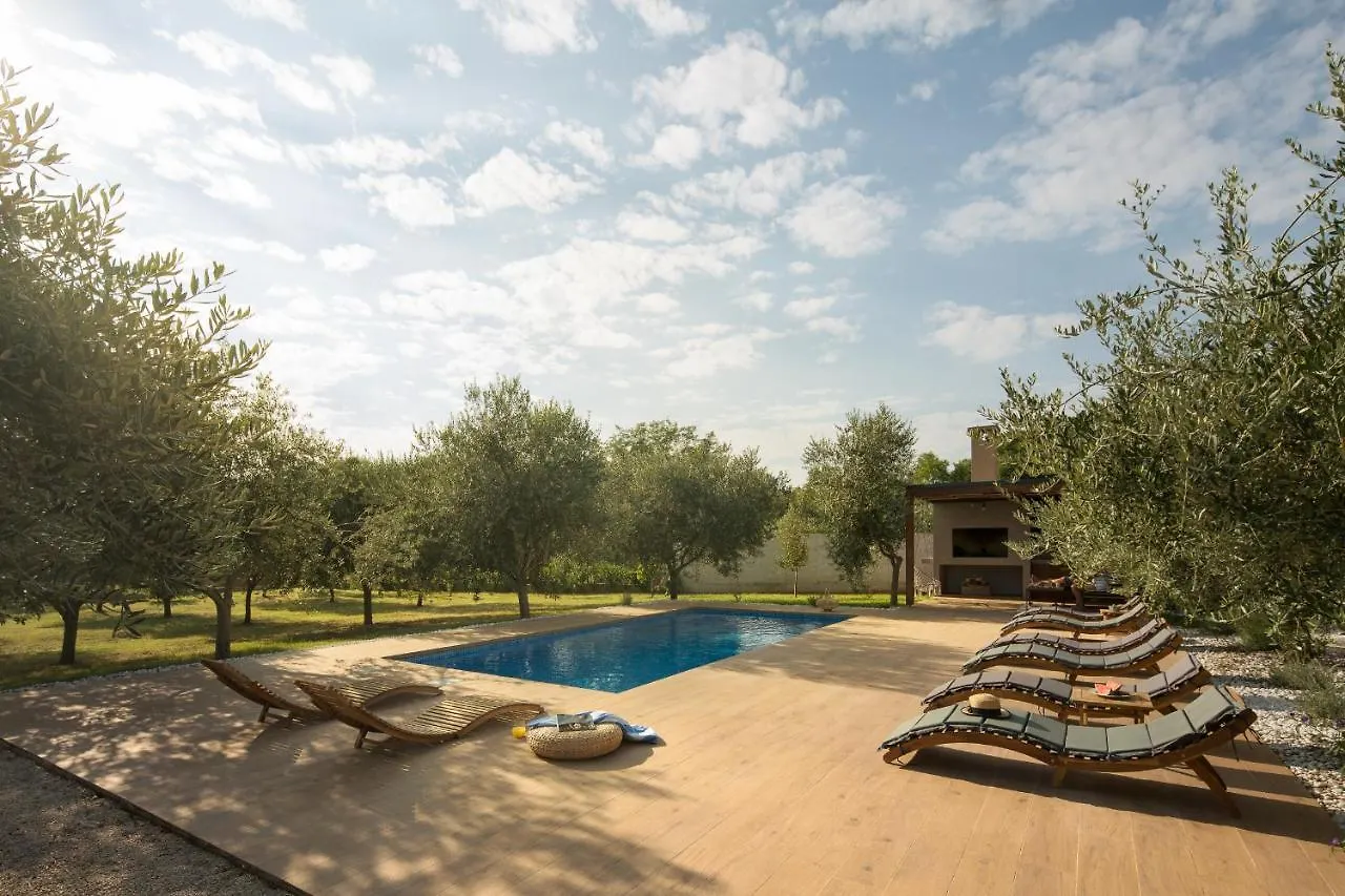 Villa Stanzietta Novigrad For 10 At Olive Orchard  Novigrad (Istria)