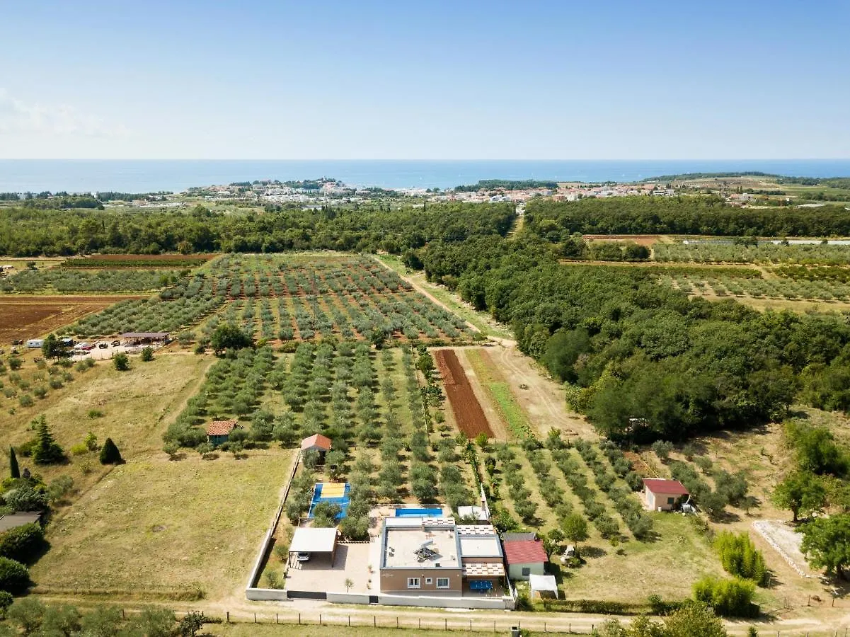 Villa Stanzietta Novigrad For 10 At Olive Orchard