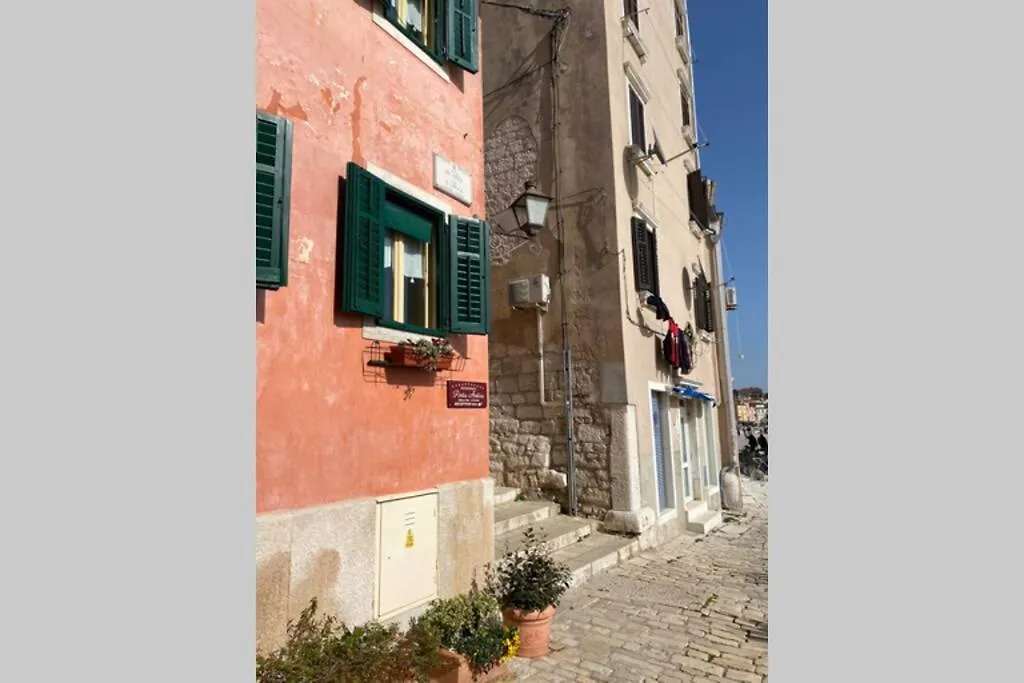 Villa Stanzietta Novigrad For 10 At Olive Orchard 0*, Novigrad (Istria) Croatia