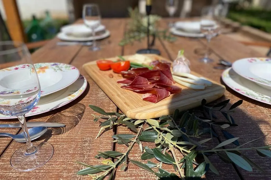 Villa Stanzietta Novigrad For 10 At Olive Orchard
