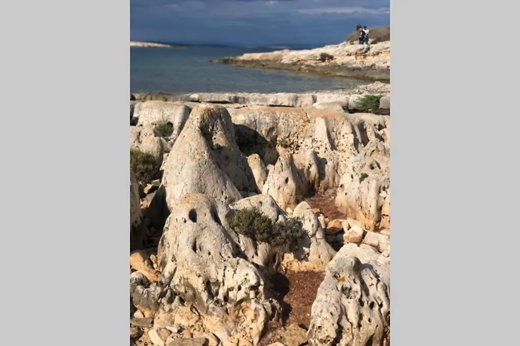 Villa Stanzietta Novigrad For 10 At Olive Orchard Croatia