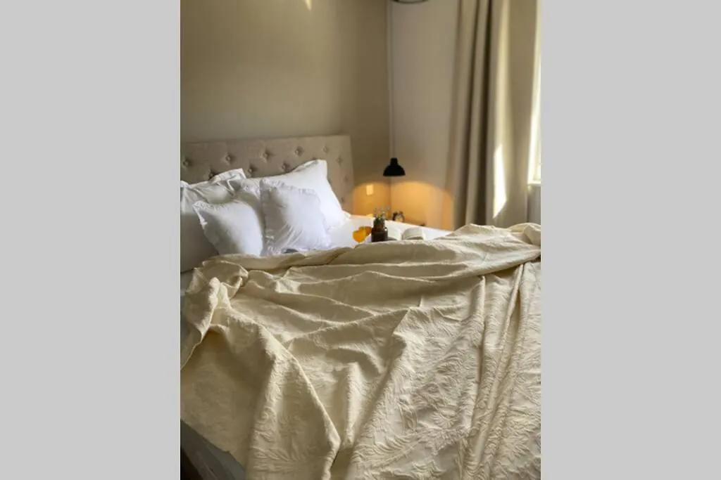 Villa Stanzietta Novigrad For 10 At Olive Orchard Croatia