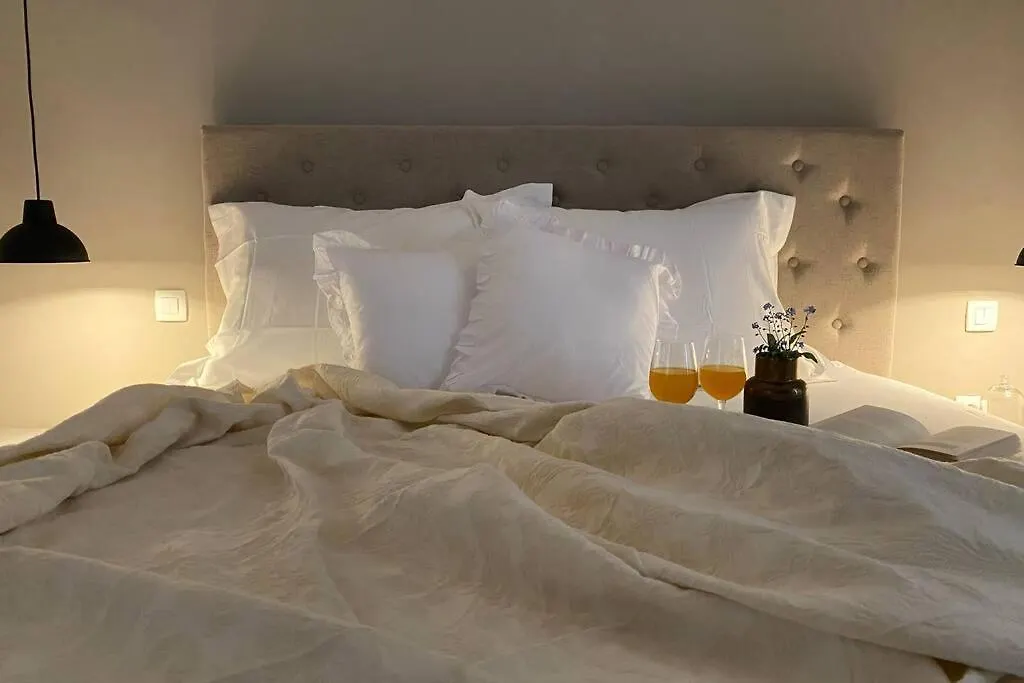 Villa Stanzietta Novigrad For 10 At Olive Orchard Novigrad (Istria)