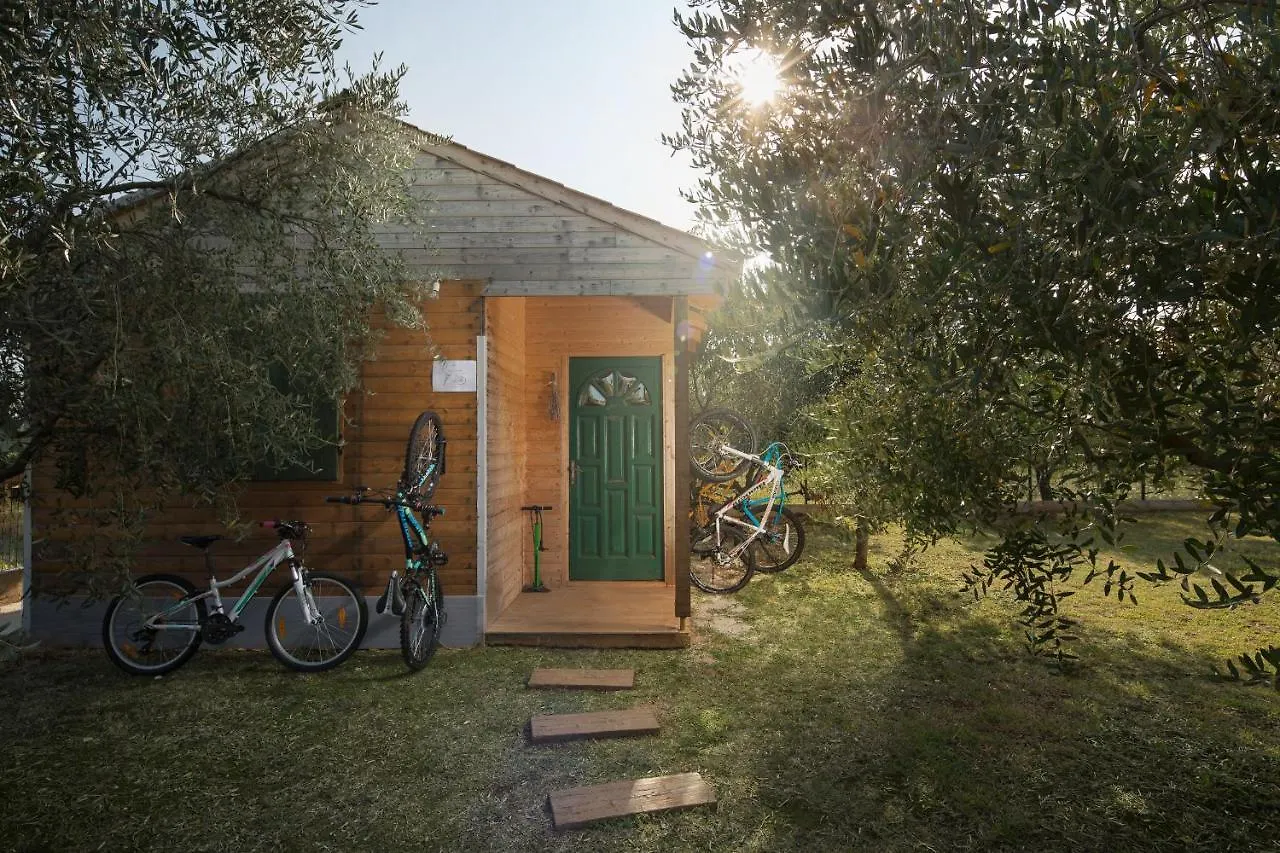 Villa Stanzietta Novigrad For 10 At Olive Orchard